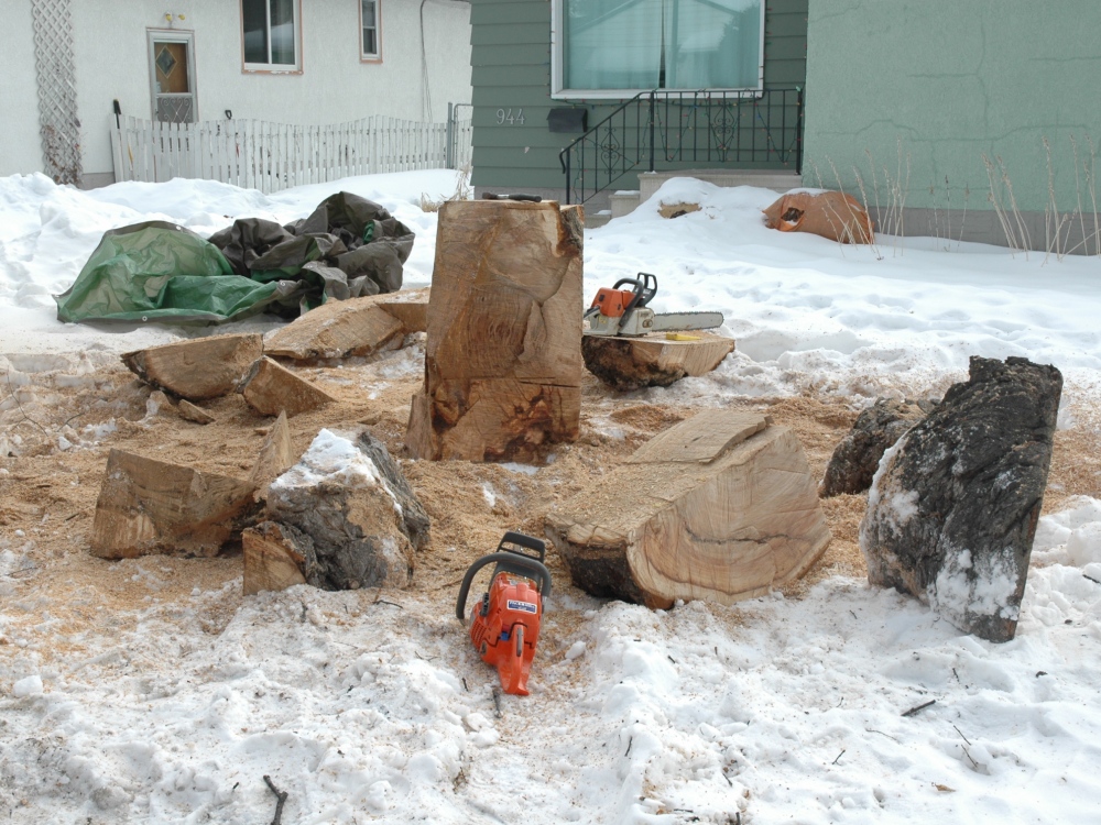 Cutting Up the Burl